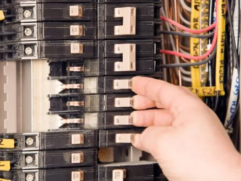 Read more about the article MAIN CONCERNS OF FEDERAL PACIFIC PANELS