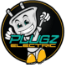 Plugz Electric